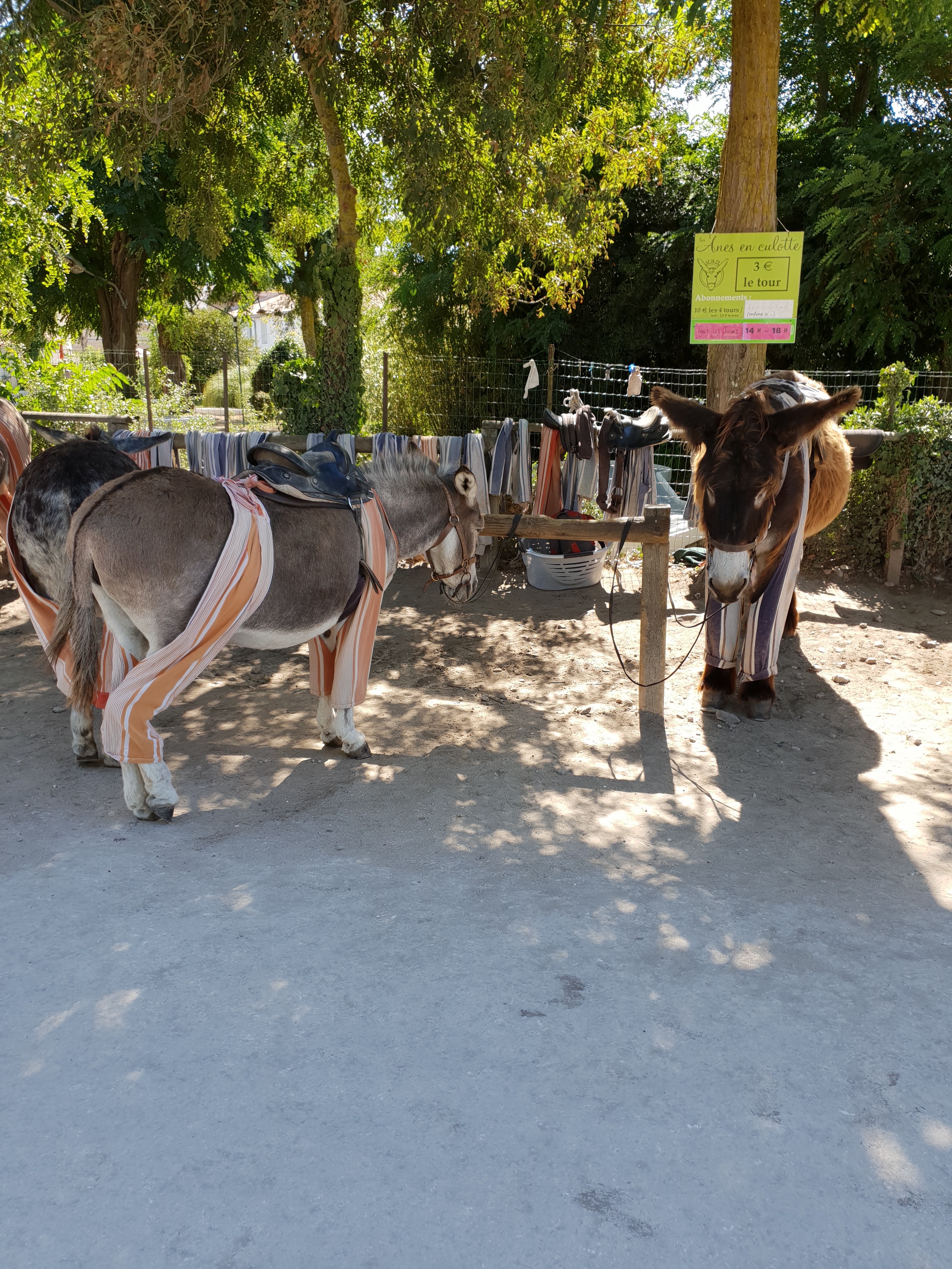 Photo n° 1 de l'avis de CATHY.O fait le 03/09/2019 à 13:34