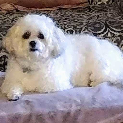 Pet Supply Store «PetSmart», reviews and photos, 17180 Mercantile Blvd, Noblesville, IN 46060, USA