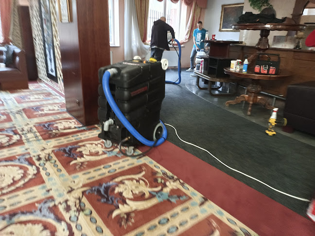 Perfekt Eko-Pranie mebli tapicerowanych narożników Dywanów Piaseczno - Usługa sprzątania