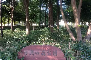 Shimin no Mori Park image
