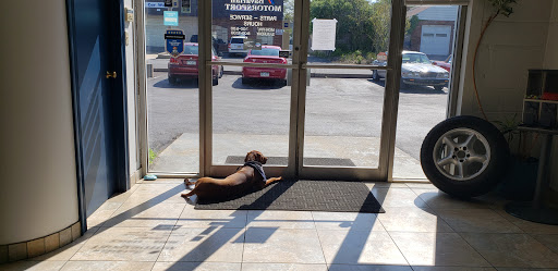 Auto Repair Shop «Bavarian Motorsport», reviews and photos, 600 W Cypress St, Kennett Square, PA 19348, USA