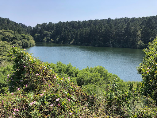 Bass Lake, Point Reyes Seashore