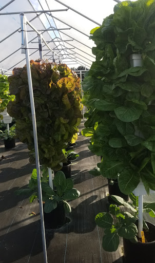 Gift Shop «Sunsational Citrus», reviews and photos, 700 N Central Ave, Umatilla, FL 32784, USA