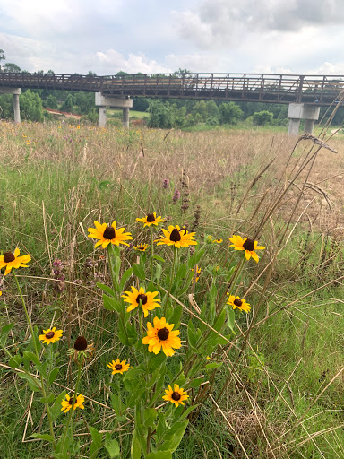 Golf Course «Brock Park Golf Course», reviews and photos, 8201 John Ralston Rd, Houston, TX 77044, USA