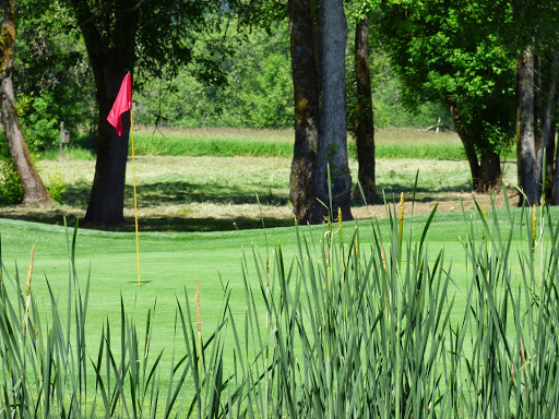 Golf Course «Albany Golf & Event Center / Spring Hill Golf Club», reviews and photos, 155 NW Country Club Ln, Albany, OR 97321, USA