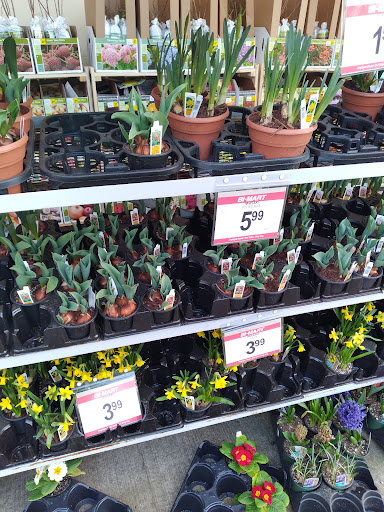 Department Store «Bi-Mart», reviews and photos, 514 W Main St, Molalla, OR 97038, USA