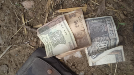 Coin Dealer «The Coin Shop», reviews and photos, 21885 Pontiac Trail, South Lyon, MI 48178, USA