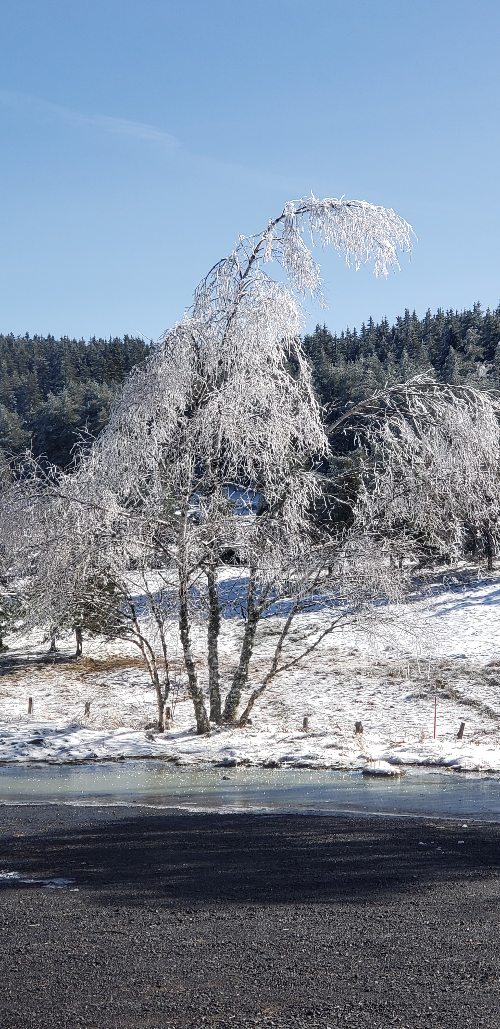 Photo n° 3 de l'avis de chantal.o fait le 02/03/2024 à 13:32
