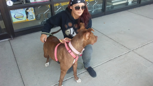 Pet Supply Store «Quality Pet Market», reviews and photos, 5543 Mahoning Ave, Austintown, OH 44515, USA