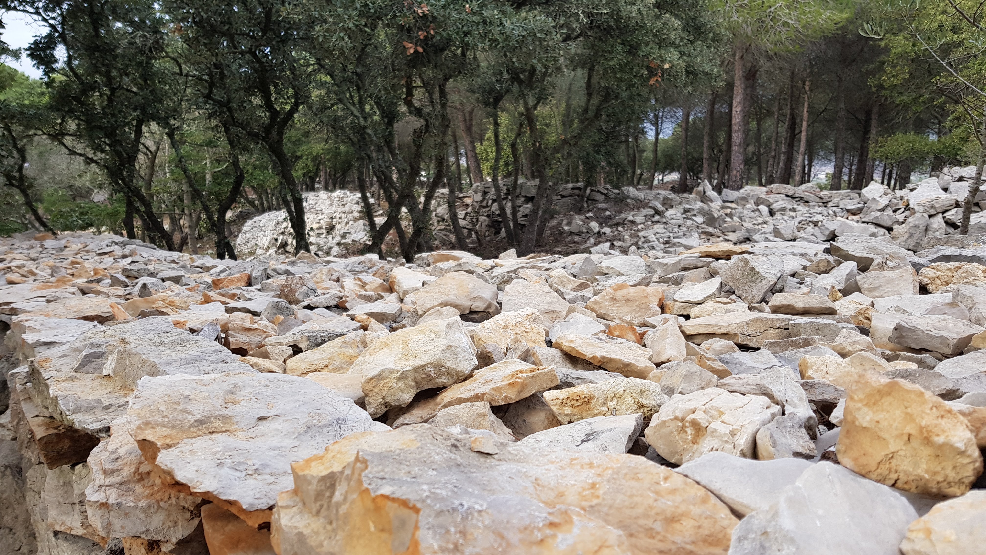 Photo n° 10 de l'avis de Alexandru.O fait le 08/01/2018 à 22:29