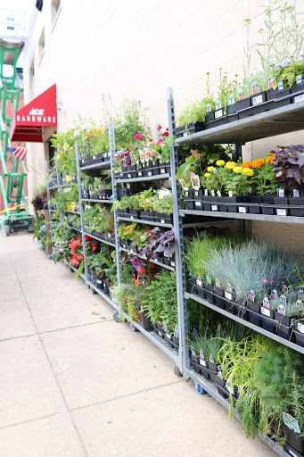 Hardware Store «Canton Ace Hardware», reviews and photos, 1022 Binney St, Baltimore, MD 21224, USA