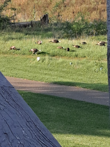 Golf Course «St. Croix National Golf & Event Center», reviews and photos, 1603 32nd Street, Somerset, WI 54025, USA