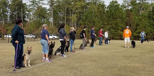 Dog Trainer «K9 Penn Dog Training Services», reviews and photos, 475 Sandy Ln, Surfside Beach, SC 29575, USA