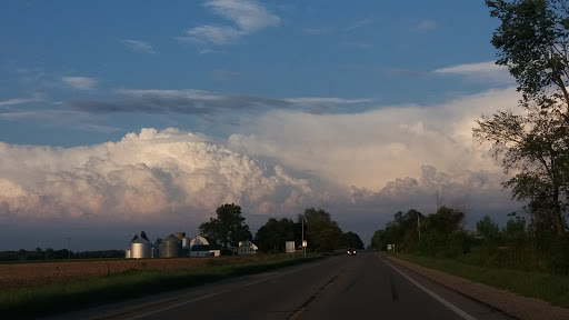 Discount Store «Dollar General», reviews and photos, 9522 E M 21, Ovid, MI 48866, USA