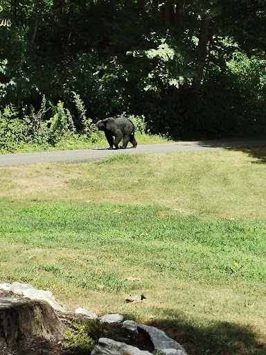 Country Club «Great Gorge Golf Course», reviews and photos, 414 County Road 517, Vernon Township, NJ 07462, USA