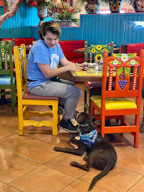 Christian Dog Training & Boarding - Photo 7 - Car repair in Abilene, TX, Abilene
