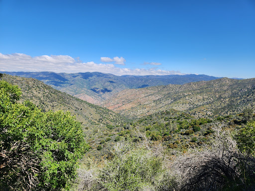 Mill Creek Trail Head