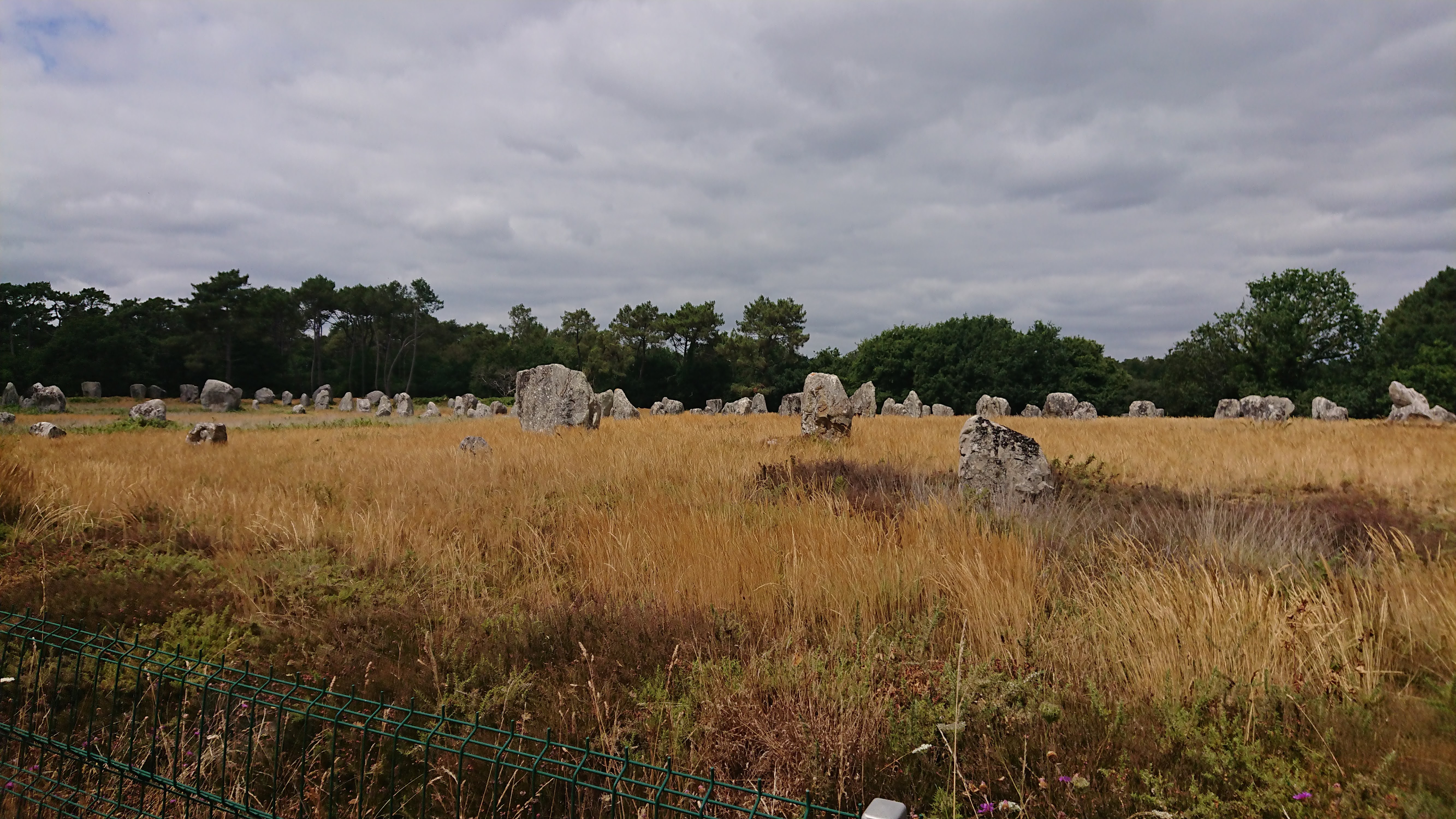Photo n° 22 de l'avis de Aléane.T fait le 21/07/2022 à 15:37