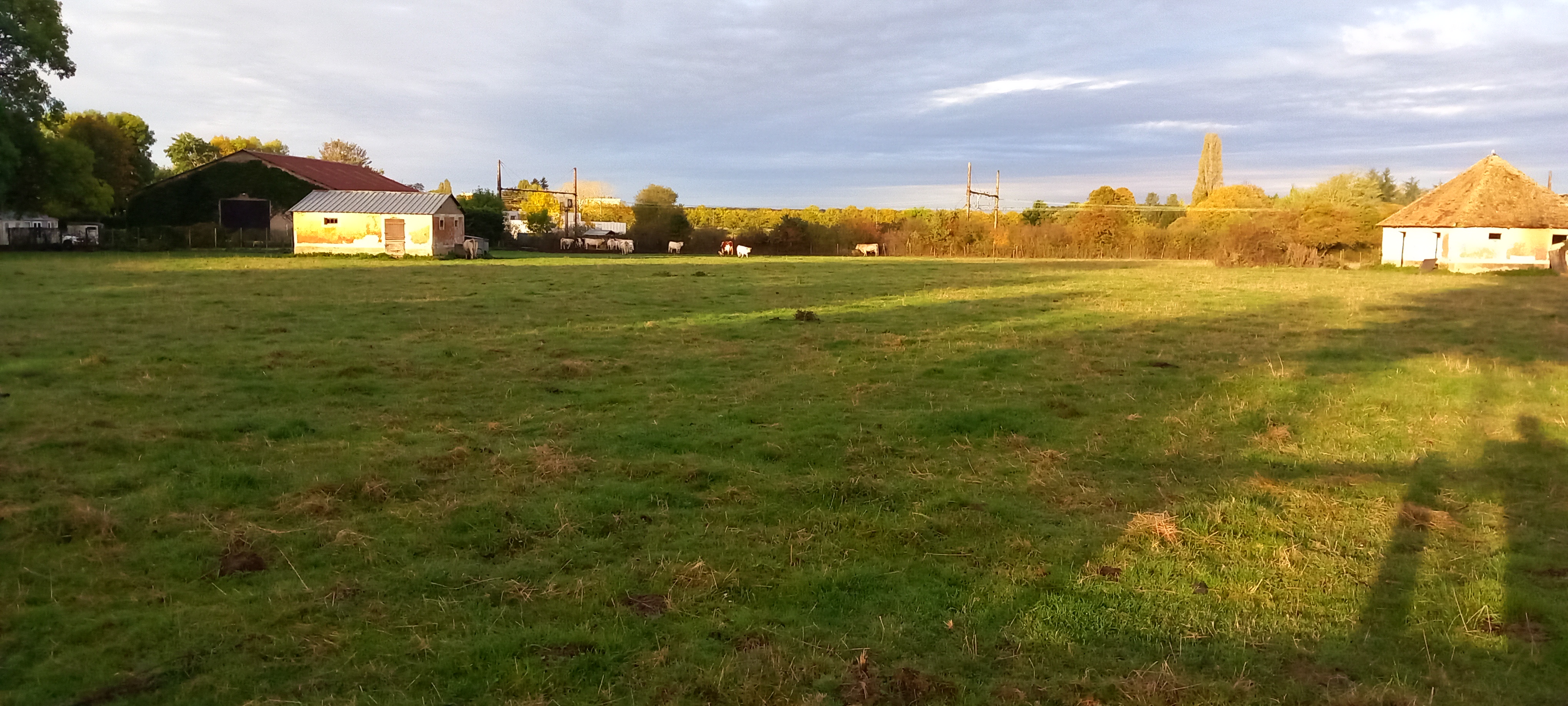 Photo n° 1 de l'avis de Alejandro.m fait le 17/10/2022 à 00:15