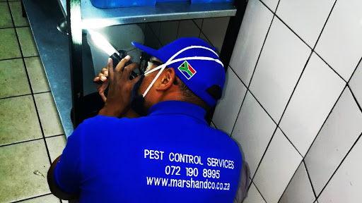 Marsh & Co Pest Control Services