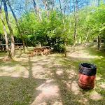 Photo n°3 de l'avis de Antonietta.a fait le 02/06/2022 à 20:51 sur le  Parco Avventura Adrenalina Verde à Serra San Bruno