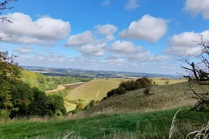 Barton Hills NNR image