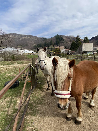 attractions L'Ecrin de Gaia Thueyts