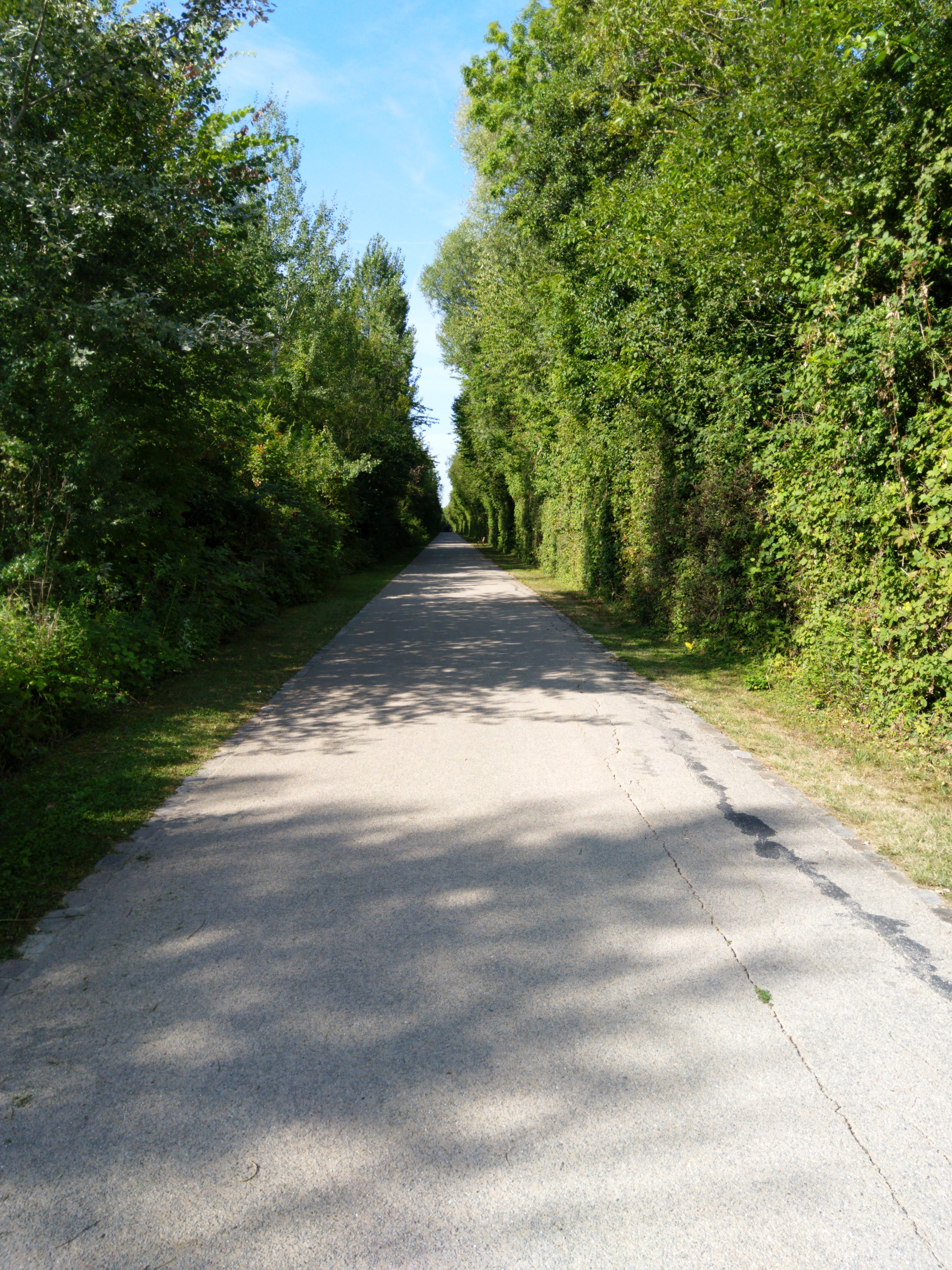 Photo n° 42 de l'avis de Fokop.i fait le 11/08/2018 à 16:27