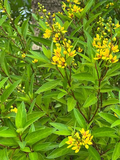 Park «Bay View Park», reviews and photos, 4401 Bayview Dr, Fort Lauderdale, FL 33308, USA