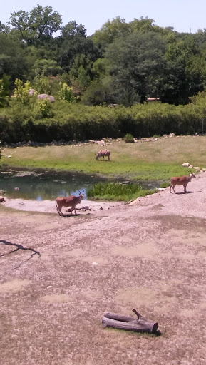 Golf Course «Swope Memorial Golf Course», reviews and photos, 6900 Swope Memorial Dr, Kansas City, MO 64132, USA