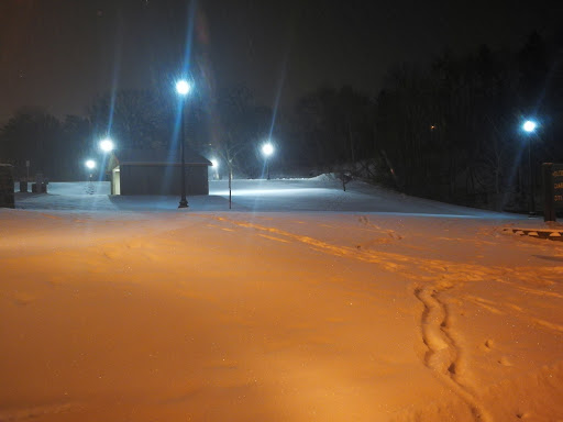 Park «Cambridge City Park», reviews and photos