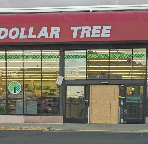 Dollar Store «Dollar Tree», reviews and photos, 24 Portland Ave, Bergenfield, NJ 07621, USA