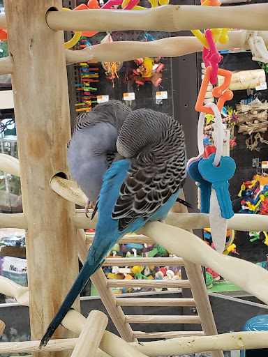 Pet Supply Store «Petco Animal Supplies», reviews and photos, 1412 S Main Chapel Way, Gambrills, MD 21054, USA