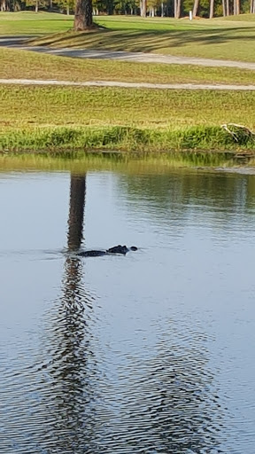 Golf Club «Summertree Golf Club», reviews and photos, 11816 Paradise Point Way, New Port Richey, FL 34654, USA