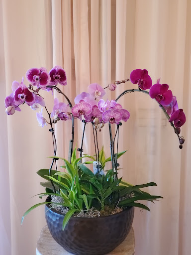 Florist «Pioneer Flowers», reviews and photos, 17601 Pioneer Blvd, Artesia, CA 90701, USA