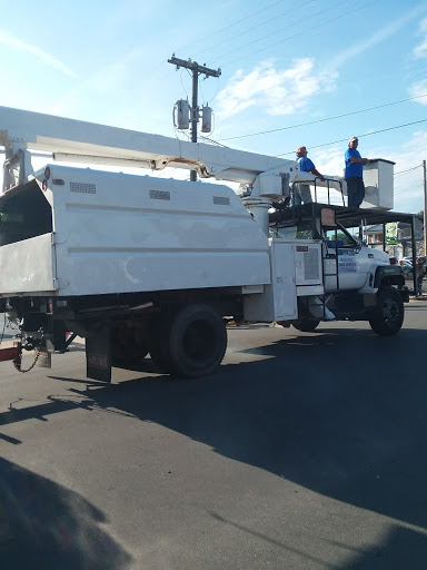 Discount Store «Dollar General», reviews and photos, 123 S West St, Tipton, IN 46072, USA