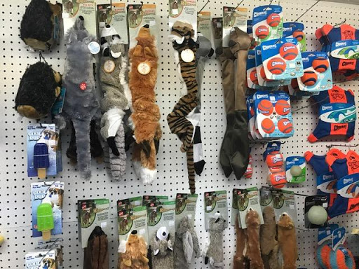 Pet Supply Store «Pet Supply Outlet», reviews and photos, 150 Spaulding Tpke, Portsmouth, NH 03801, USA