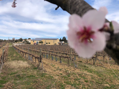 Domaine Augé à Boujan-sur-Libron