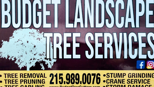 Budget Landscape & Tree Service