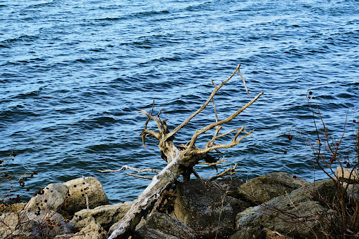 Tourist Attraction «West Branch State Park Beach», reviews and photos, Esworthy Rd, Ravenna, OH 44266, USA