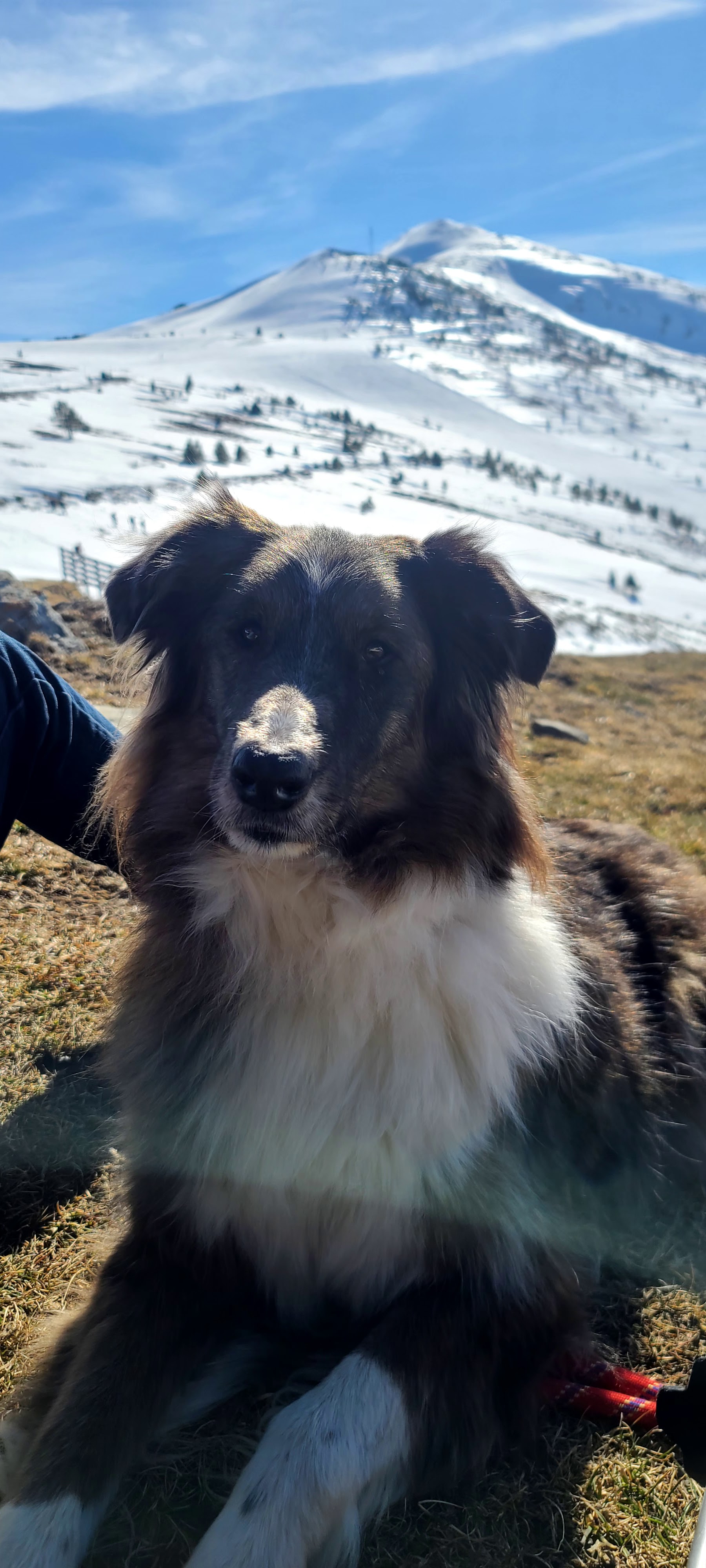Photo n° 4 de l'avis de Sylvie.a fait le 15/02/2020 à 19:06