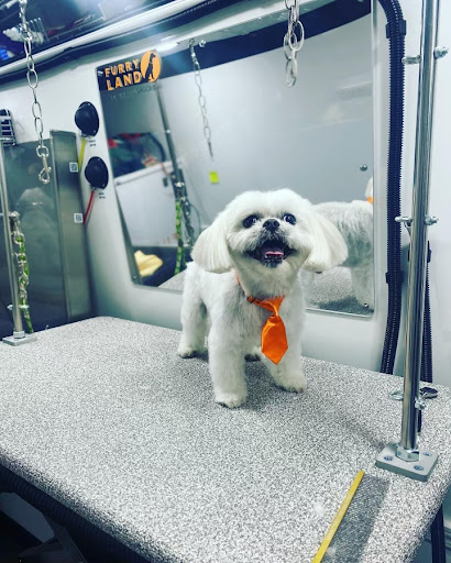 Furry Land Mobile Grooming Corpus Christi
