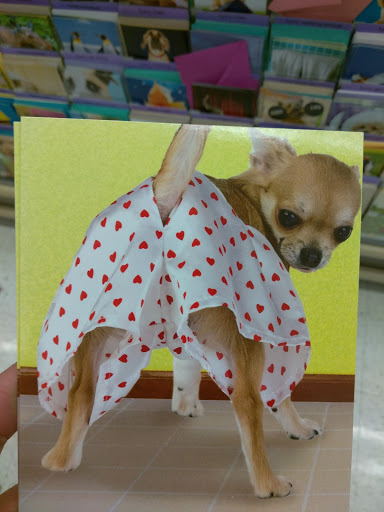 Discount Store «Kmart», reviews and photos, 1001 Patton Ave, Asheville, NC 28806, USA