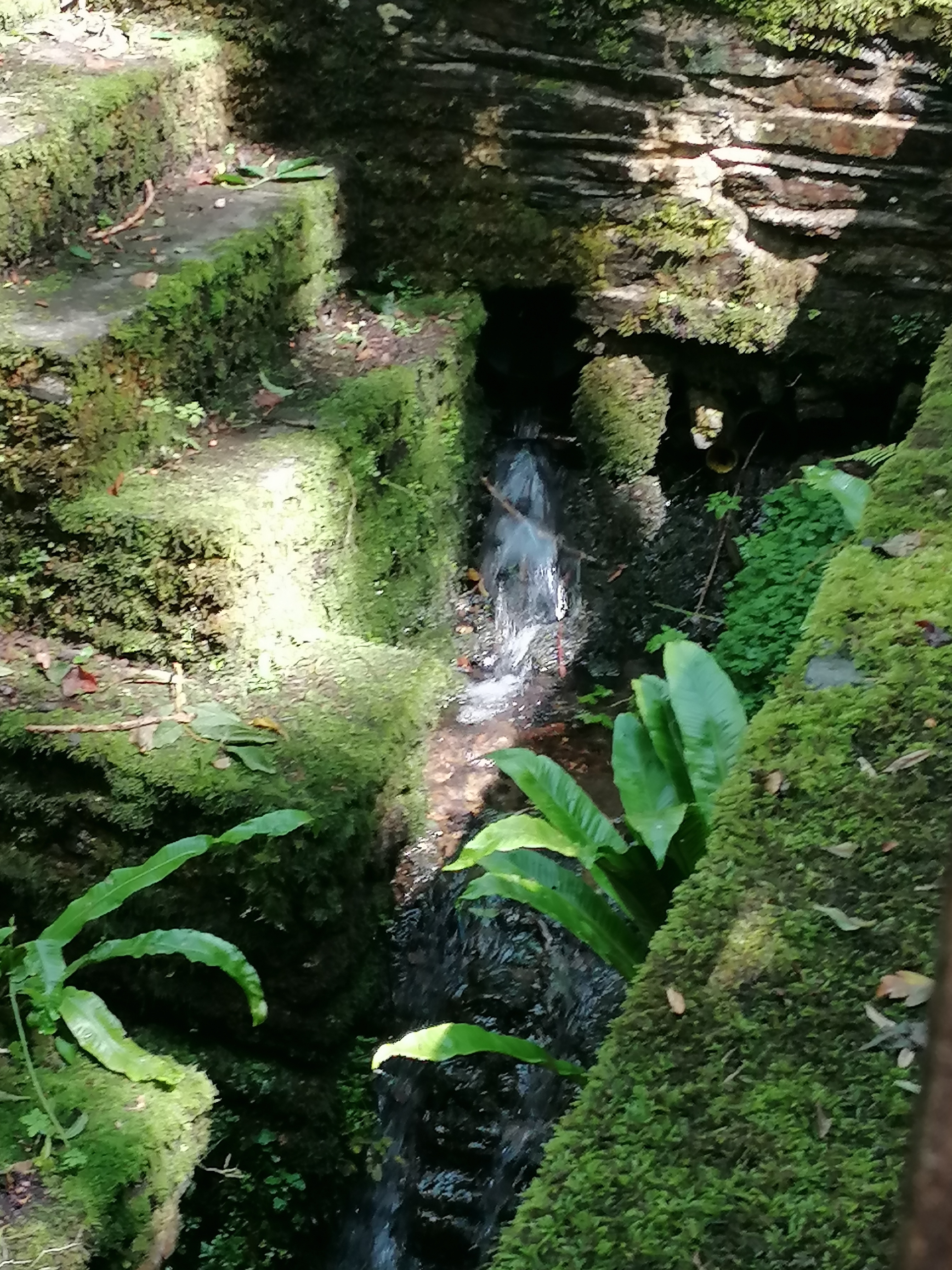 Photo n° 10 de l'avis de Sandrine.o fait le 24/07/2023 à 19:31