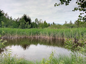 Naturschutzgebiet Hudelmoos