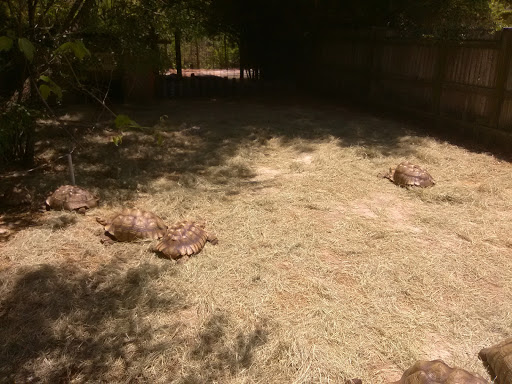 Zoo «Croc Encounters», reviews and photos, 8703 Bowles Rd, Tampa, FL 33637, USA