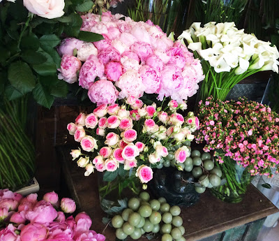 Vogel Fleurs-Fanny Saga à Paris