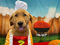 Canine To Five - Photo 4 - Car repair in Detroit, MI, Detroit