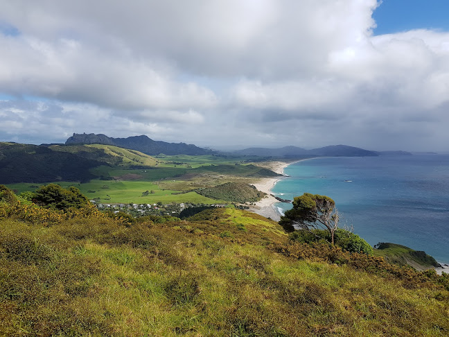 Comments and reviews of Te Whara Track Scenic Lookout