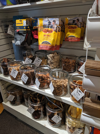 Pet Supply Store «The Fish & Bone, Boston MA», reviews and photos, 217 Newbury St, Boston, MA 02116, USA